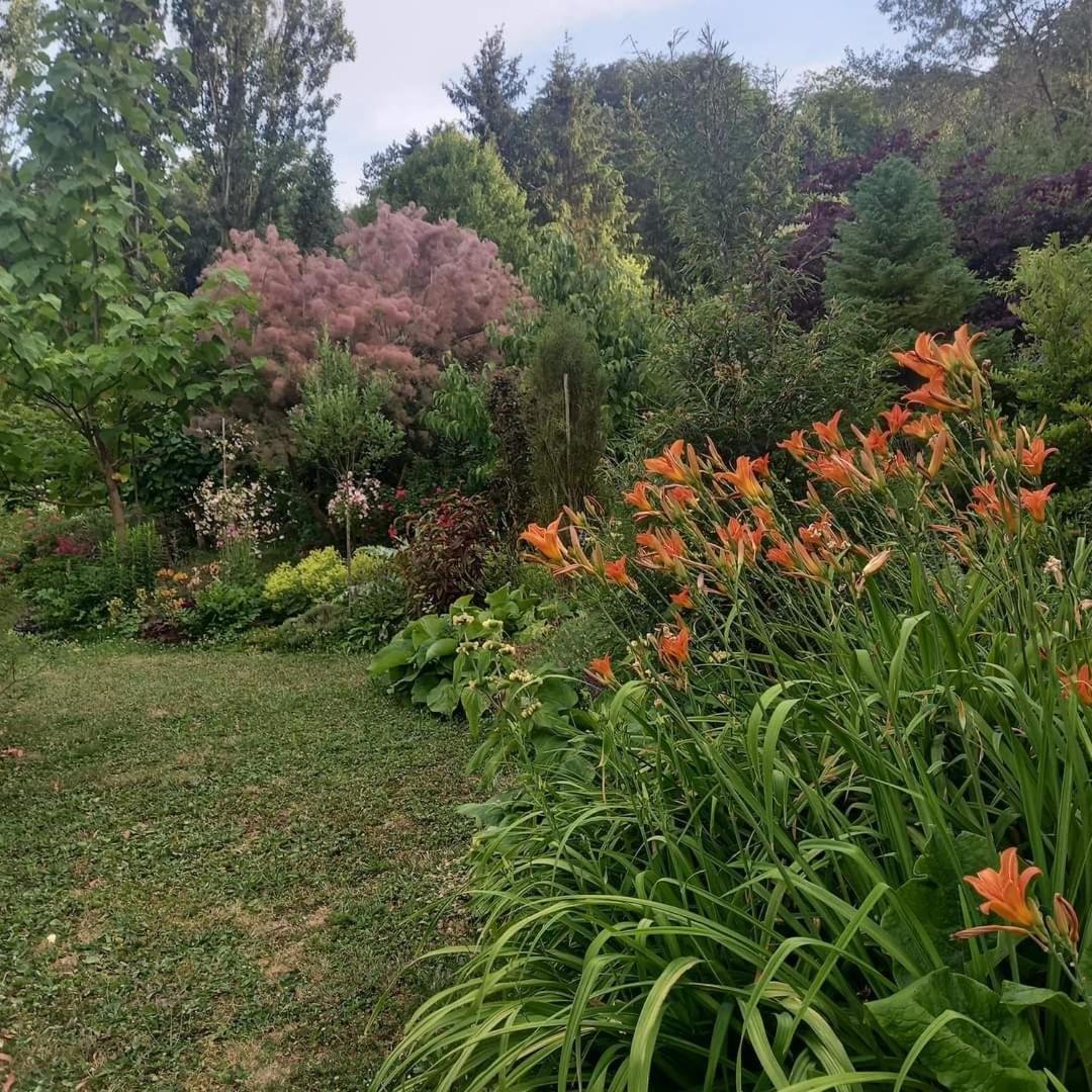 La Haie A Cerf Watronville Ngoại thất bức ảnh