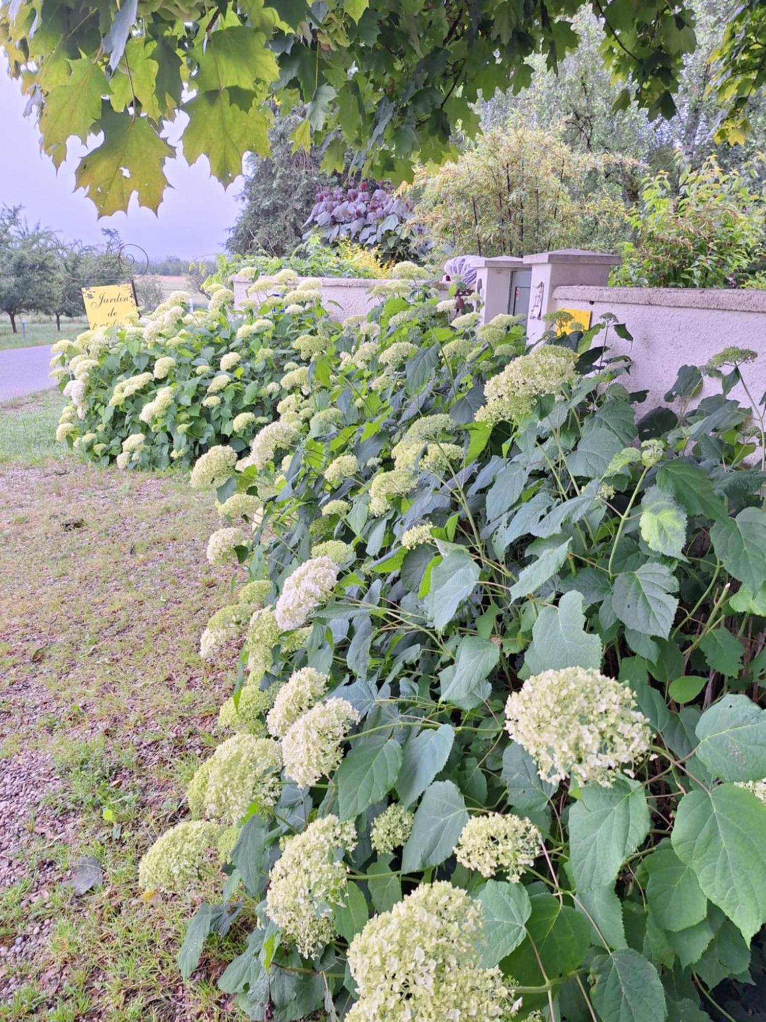 La Haie A Cerf Watronville Ngoại thất bức ảnh